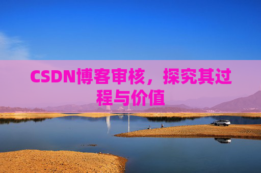 CSDN博客审核，探究其过程与价值